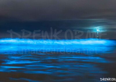 Mar de ardora en la playa de Carnota con las olas bioluminiscentes y el faro de Fisterra iluminando al fondo, Costa da Morte (Galicia)