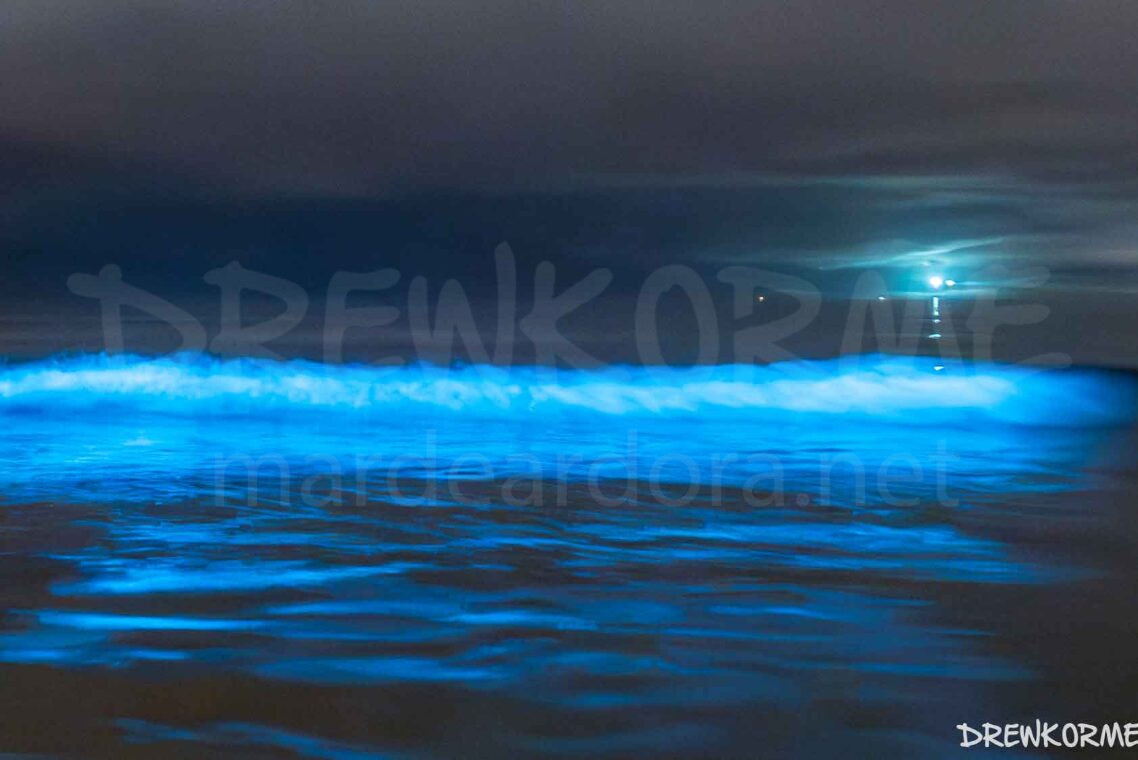 mar-de-ardora-carnota-costa-da-morte-galicia-drewkorme Mar de ardora en la playa de Carnota con las olas bioluminiscentes y el faro de Fisterra iluminando al fondo, Costa da Morte (Galicia)
