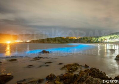 Mar de ardora en la playa de Estorde (Cee, Costa da Morte, Galicia) en una noche nublada