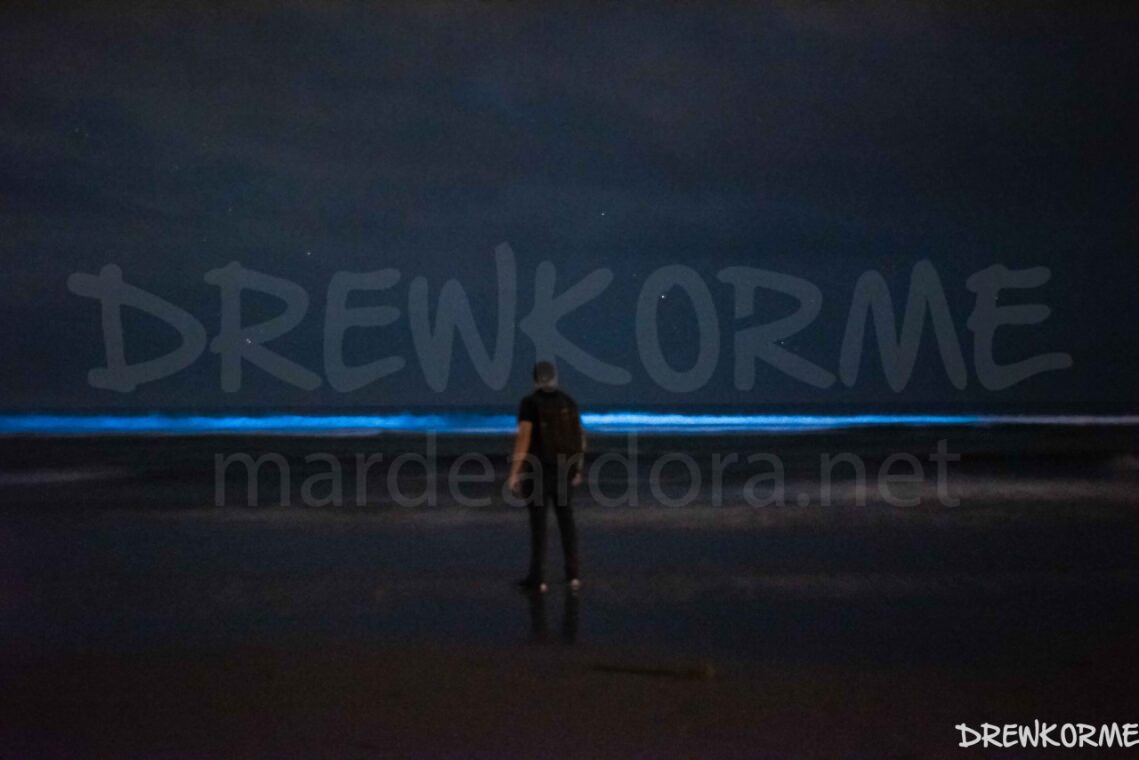 mar-de-ardora-nemiña-muxia--costa-da-morte-galicia-drewkorme Mar de ardora en la playa de Nemiña (Muxía, Costa da Morte, Galicia) con una persona observando la bioluminiscencia en el mar de noche
