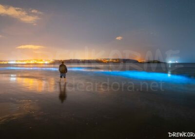 Mar de ardora en la playa de Perbes (Miño, Galicia) con una persona observando la bioluminiscencia