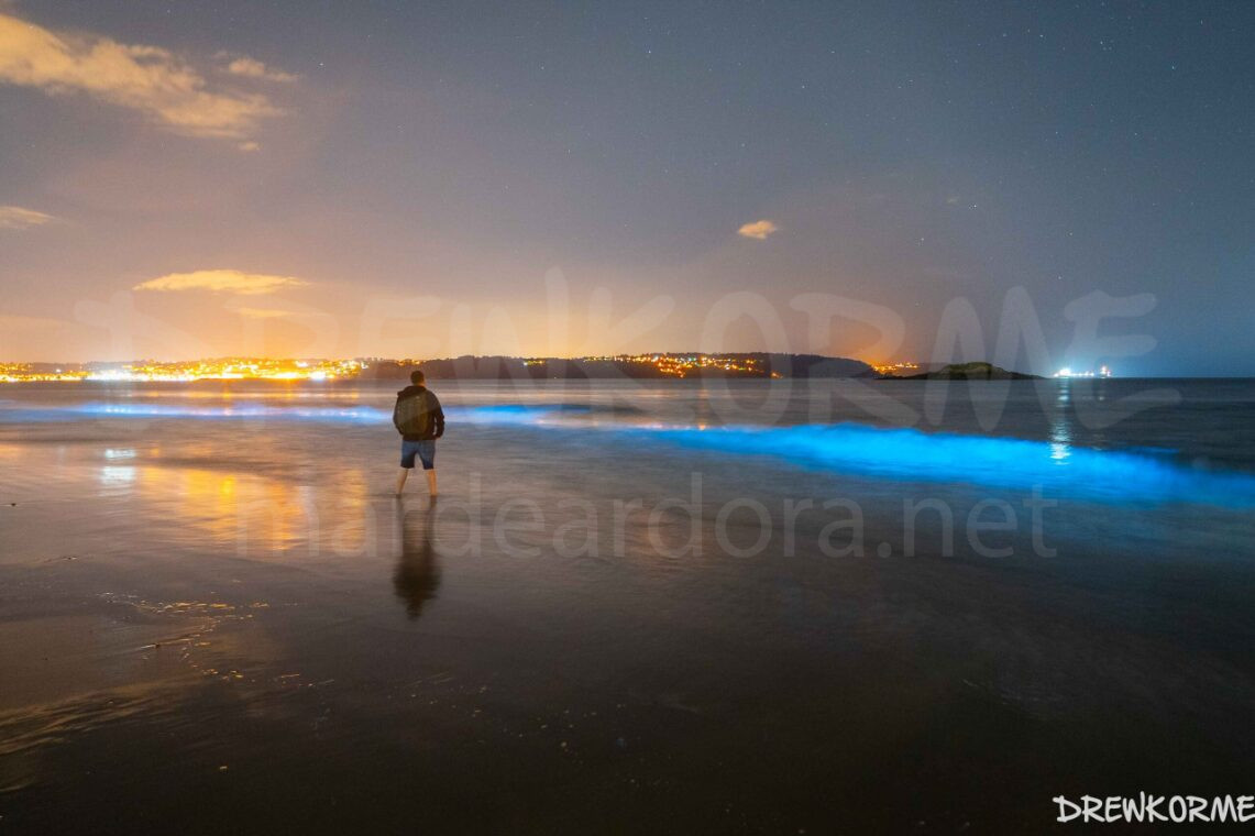 mar-de-ardora-perbes-miño-galicia-drewkorme Mar de ardora en la playa de Perbes (Miño, Galicia) con una persona observando la bioluminiscencia