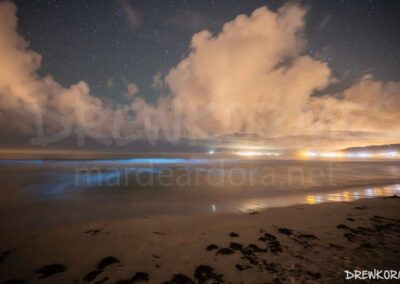Mar de ardora en la playa de Carnota en una noche nublada con cielo estrellado y reflejos de luz en la arena húmeda, Costa da Morte (Galicia)