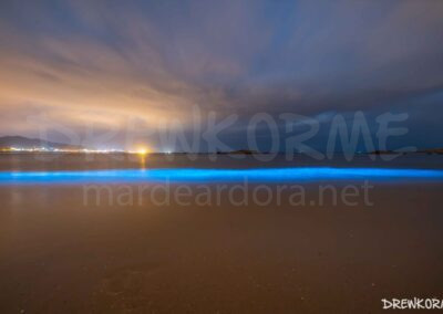 Mar de ardora en la playa de Caldebarcos (Carnota, Costa da Morte, Galicia) iluminando las olas en una noche nublada