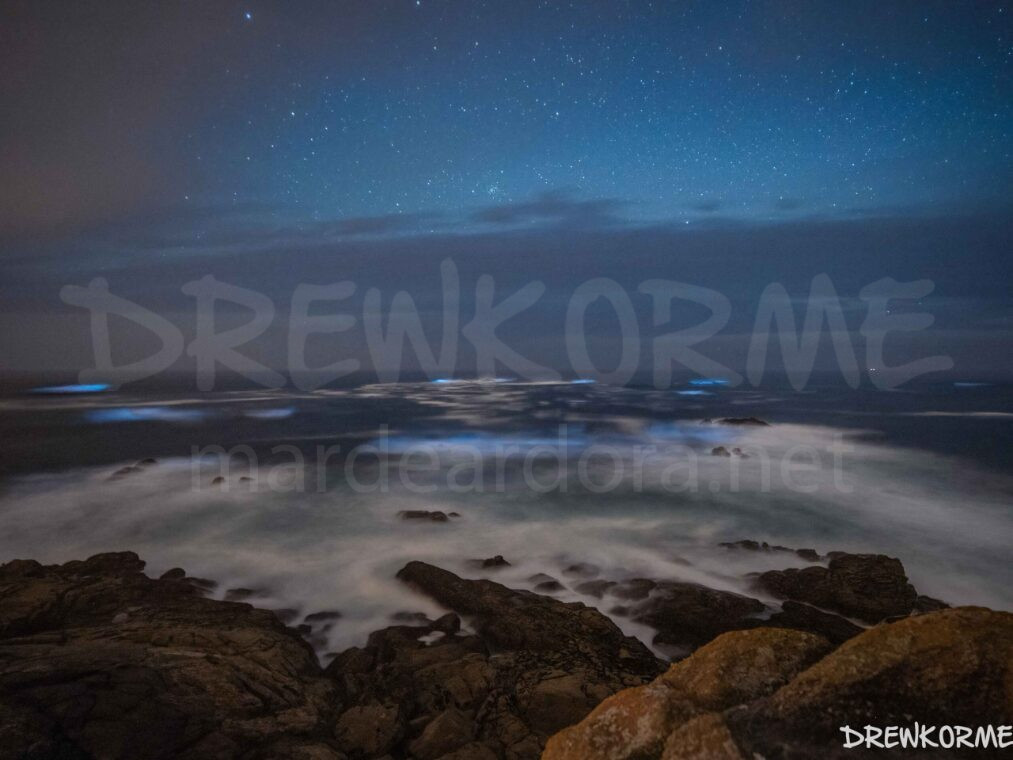 mar-de-ardora-roncudo-corme-costa-da-morte-galicia-drewkorme- Mar de ardora en distintas rompientes en el Faro Roncudo (Corme, Costa da Morte, Galicia) bajo cielo estrellado