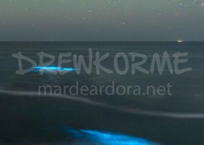 Mar de ardora en las rompientes del Roncudo en Corme Galicia con bioluminiscencia azul entre las olas y rocas bajo un cielo estrellado