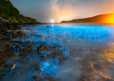 Mar de ardora con la Vía Láctea y el Faro de Fisterra al fondo desde Estorde (Cee, Costa da Morte, Galicia)